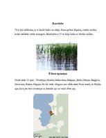 Prezentācija 'Usmas ezers', 5.