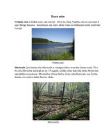 Prezentācija 'Usmas ezers', 7.