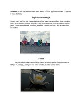 Prezentācija 'Usmas ezers', 9.