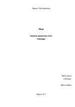 Referāts 'Miegs. Pētījums', 1.