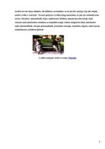 Referāts 'Miegs. Pētījums', 6.