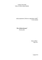 Biznesa plāns 'SIA "X" biznesa plāns', 1.