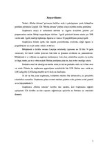 Biznesa plāns 'SIA "X" biznesa plāns', 3.