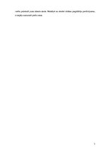 Biznesa plāns 'SIA "X" biznesa plāns', 5.