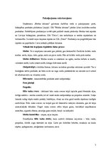 Biznesa plāns 'SIA "X" biznesa plāns', 6.