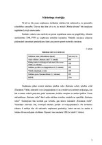 Biznesa plāns 'SIA "X" biznesa plāns', 9.