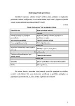 Biznesa plāns 'SIA "X" biznesa plāns', 11.