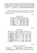 Biznesa plāns 'SIA "X" biznesa plāns', 13.