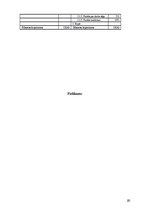 Biznesa plāns 'SIA "X" biznesa plāns', 20.