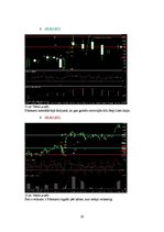 Referāts '"Forex" signālu atstrāde vasaras un ziemas periodā', 20.