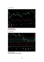 Referāts '"Forex" signālu atstrāde vasaras un ziemas periodā', 24.
