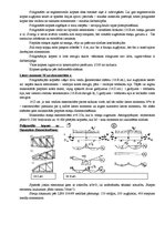 Konspekts 'Koka konstrukciju jautājumi', 22.