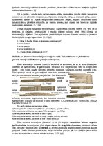 Konspekts 'Koka konstrukciju jautājumi', 25.