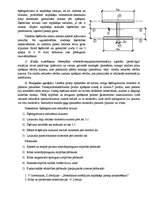 Konspekts 'Koka konstrukciju jautājumi', 61.