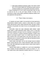 Referāts 'Jumti', 14.