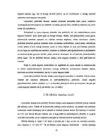 Referāts 'Jumti', 29.