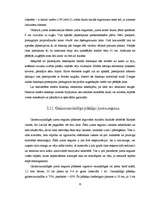 Referāts 'Jumti', 30.