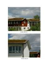 Referāts 'Jumti', 49.