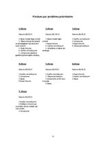 Prakses atskaite 'Lielais aprūpes plāns', 12.