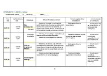 Prakses atskaite 'Lielais aprūpes plāns', 19.