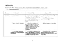 Prakses atskaite 'Lielais aprūpes plāns', 31.