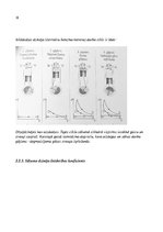 Konspekts 'Molekulārfizika un termodinamika', 18.
