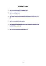 Referāts 'Corruption', 10.