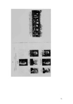 Referāts 'Futbols Latvijā 20-tos gados: galvenās attīstības tendences', 73.