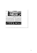 Referāts 'Futbols Latvijā 20-tos gados: galvenās attīstības tendences', 76.