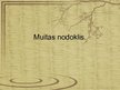 Prezentācija 'Muitas nodoklis', 1.