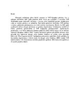 Referāts 'Mārketinga komunikāciju plāns VAS "Valsts nekustamie īpašumi"', 3.