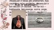 Prezentācija 'Aksesuāri no dabas materiāliem - pirmsskolai', 2.