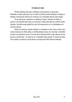 Referāts 'Likumi kā indivīda morāles ierobežošanas līdzeklis', 17.