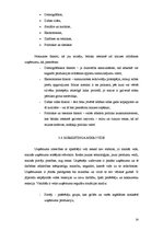 Referāts 'Fazer maiznīcas "Druva” mārketinga darbības un Latvijas maizes tirgus izpēte', 14.