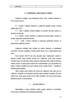 Referāts 'Fazer maiznīcas "Druva” mārketinga darbības un Latvijas maizes tirgus izpēte', 17.