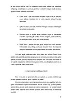 Referāts 'Fazer maiznīcas "Druva” mārketinga darbības un Latvijas maizes tirgus izpēte', 19.