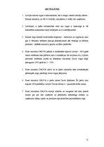 Referāts 'Fazer maiznīcas "Druva” mārketinga darbības un Latvijas maizes tirgus izpēte', 21.