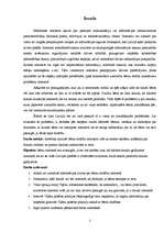 Referāts 'Bērnu drošība internetā', 3.