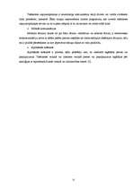 Referāts 'Bērnu drošība internetā', 11.