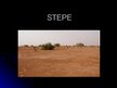 Prezentācija 'Stepe', 1.