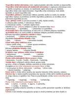 Konspekts 'Tirgvedība', 11.