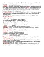 Konspekts 'Tirgvedība', 12.