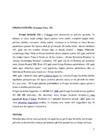 Referāts 'Eiropas Savienība un Eiropas Padome', 4.