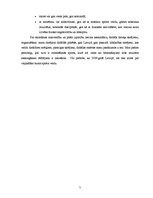 Referāts 'Skriešana', 5.