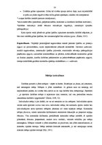 Diplomdarbs 'Komandas un individuālo sportu sportistu sasniegumu motivācija un stresa pārvarē', 24.