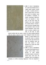 Konspekts 'Dekoratīvais krāsojums', 4.