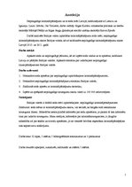 Referāts 'Nepilngadīgo kriminālpārkāpumi Latvijā salīdzinājumā ar Lietuvu un Igauniju', 2.