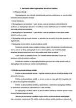 Referāts 'Nepilngadīgo kriminālpārkāpumi Latvijā salīdzinājumā ar Lietuvu un Igauniju', 11.