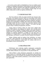 Referāts 'Rakstura ietekme uz saskarsmi', 8.