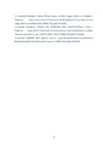 Paraugs 'Materiāla blīvums un makrostruktūra', 13.